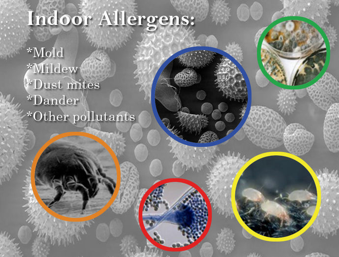 5 signs You May Have Indoor Pollutants