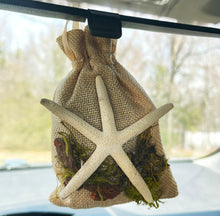 Load image into Gallery viewer, Starfish on Tan Bag - Coastal Themed Deodorizing Bags for Small Spaces