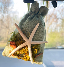 Load image into Gallery viewer, Starfish on Tan Bag - Coastal Themed Deodorizing Bags for Small Spaces