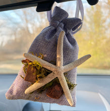 Load image into Gallery viewer, Starfish on Tan Bag - Coastal Themed Deodorizing Bags for Small Spaces