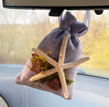 Load image into Gallery viewer, Starfish on Tan Bag - Coastal Themed Deodorizing Bags for Small Spaces