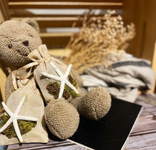 Load image into Gallery viewer, Starfish on Tan Bag - Coastal Themed Deodorizing Bags for Small Spaces