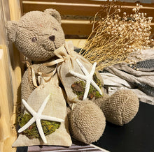 Load image into Gallery viewer, Starfish on Tan Bag - Coastal Themed Deodorizing Bags for Small Spaces