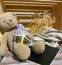 Load image into Gallery viewer, Starfish on Tan Bag - Coastal Themed Deodorizing Bags for Small Spaces