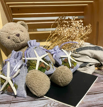 Load image into Gallery viewer, Starfish on Tan Bag - Coastal Themed Deodorizing Bags for Small Spaces