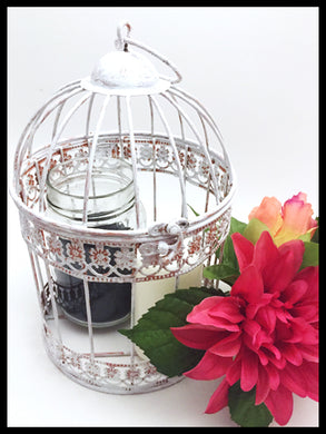 Medium White Birdcage