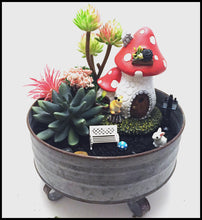 Load image into Gallery viewer, Miniature Garden in round galvanized pan with Biochar Kit for air purification