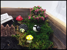 Load image into Gallery viewer, Air Purifying Miniature Garden Kit with Biochar