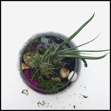 Load image into Gallery viewer, Air plant terrarium Kit with Biochar for air purification