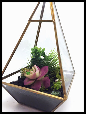 Succulent Terrarium Biochar Air Purifier