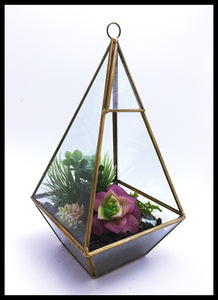 Succulent Terrarium Biochar Air Purifier